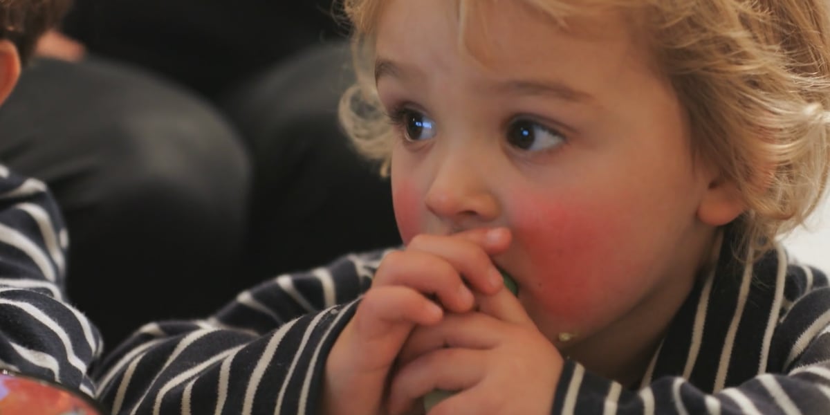 MOVHD issues warning about increase in Fifth’s Disease cases - WTAP