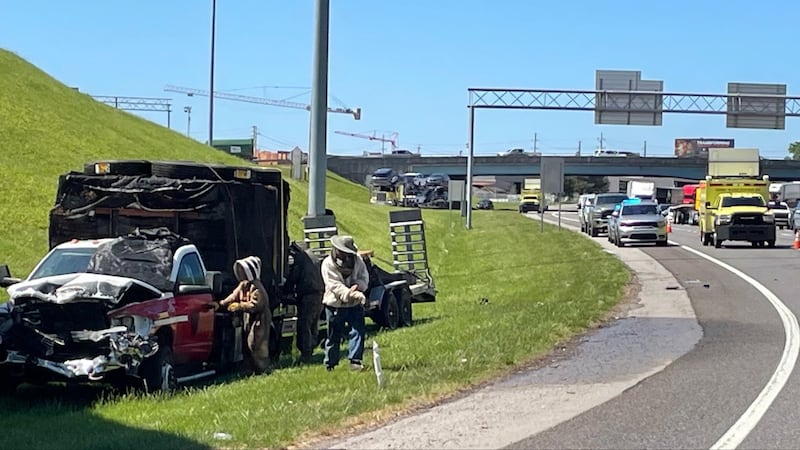 A truck carrying 1 million bees crashed in Tennessee, unleashing a massive swarm that closed a...