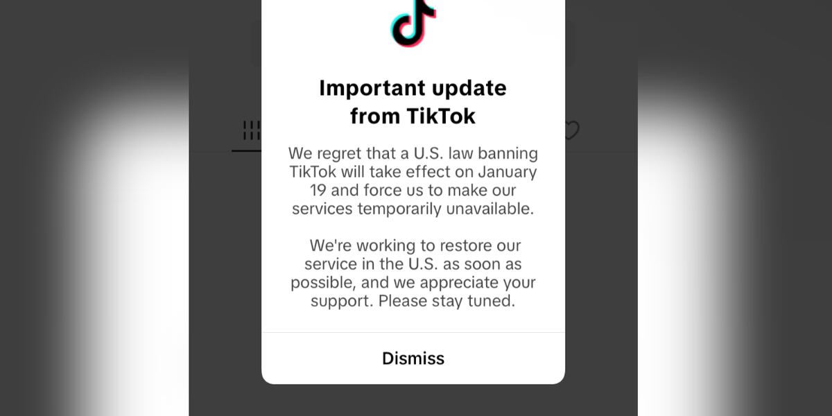 TikTok ban goes into effect in US as midnight approaches