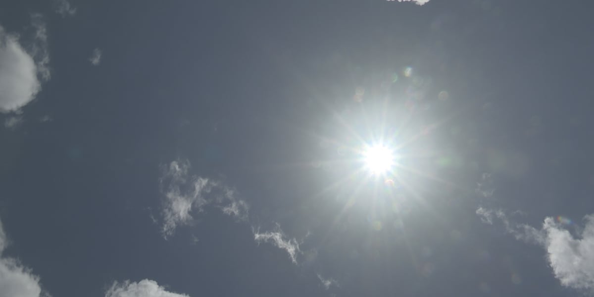 Beat the Heat: Essential Summer Safety Tips for Kiwis