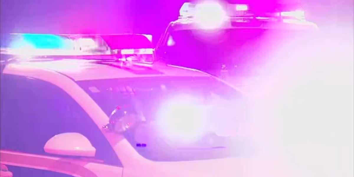 Parkersburg man pleads guilty to federal drug crime